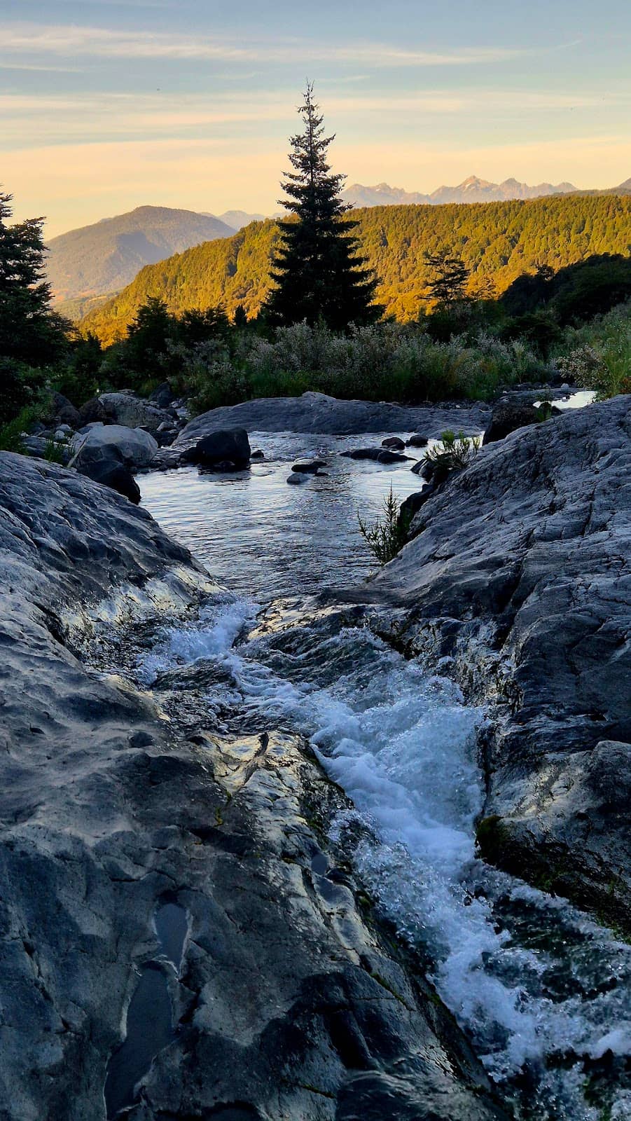 Scenic Drive