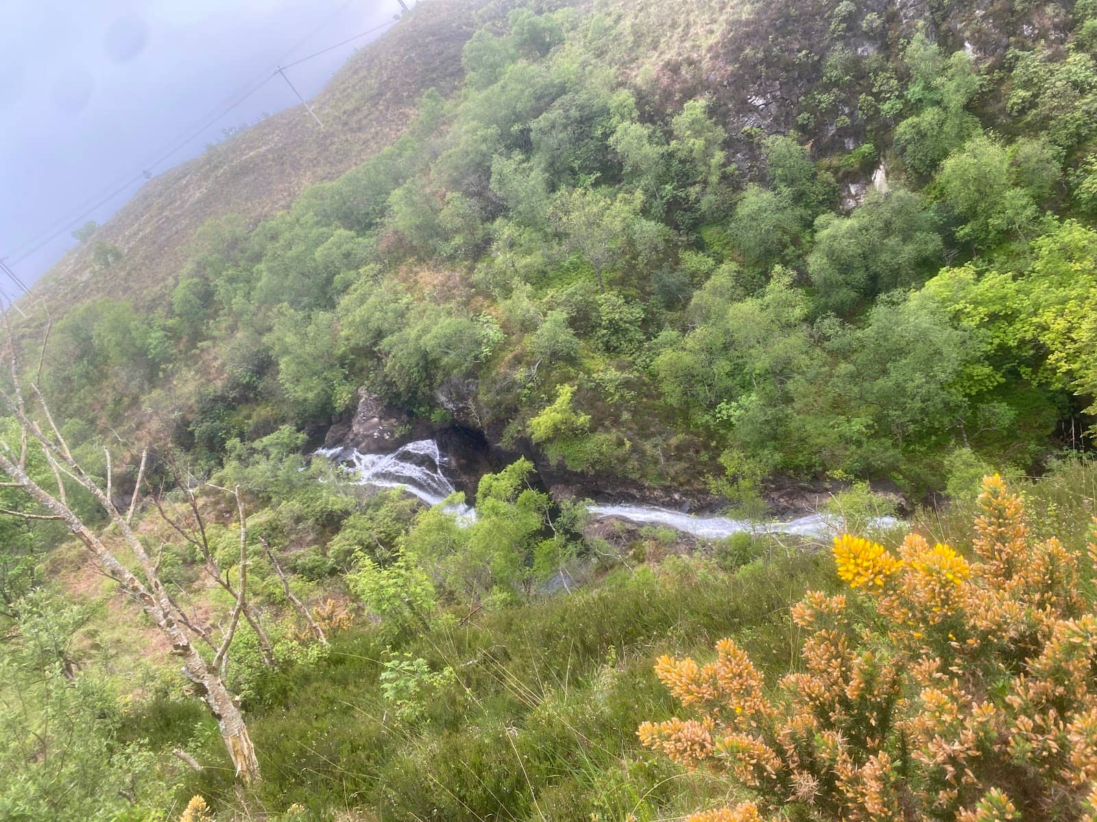 Panoramic Views