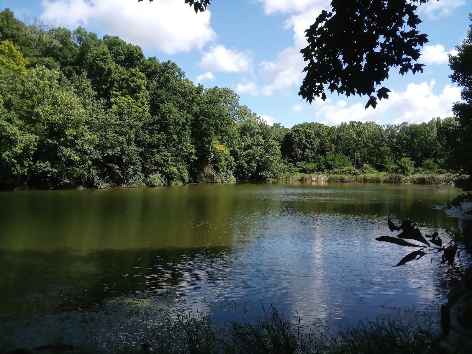 Illinois River Bluff Trail - Image 1