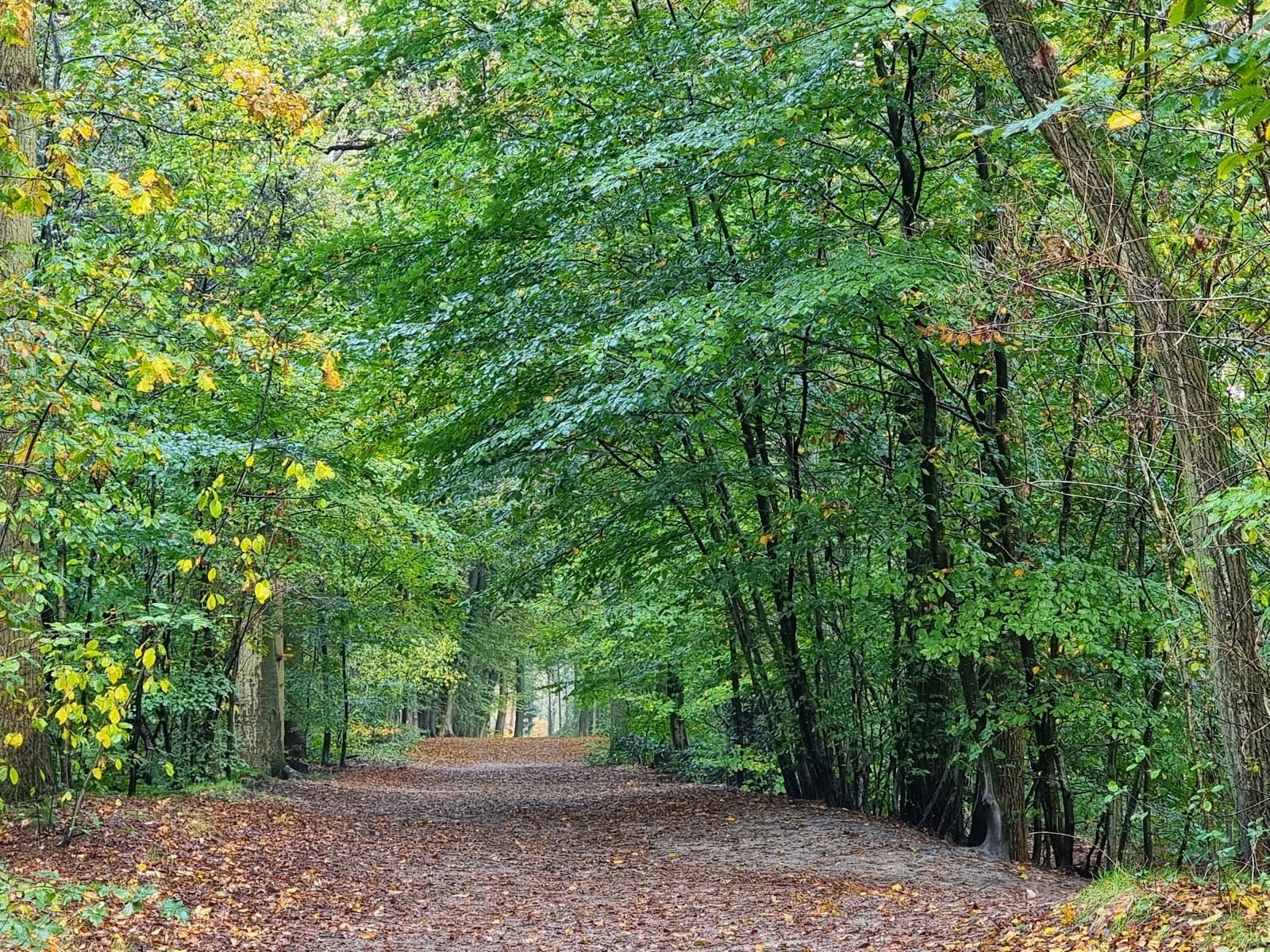 Landgoed Plantloon - Image 1
