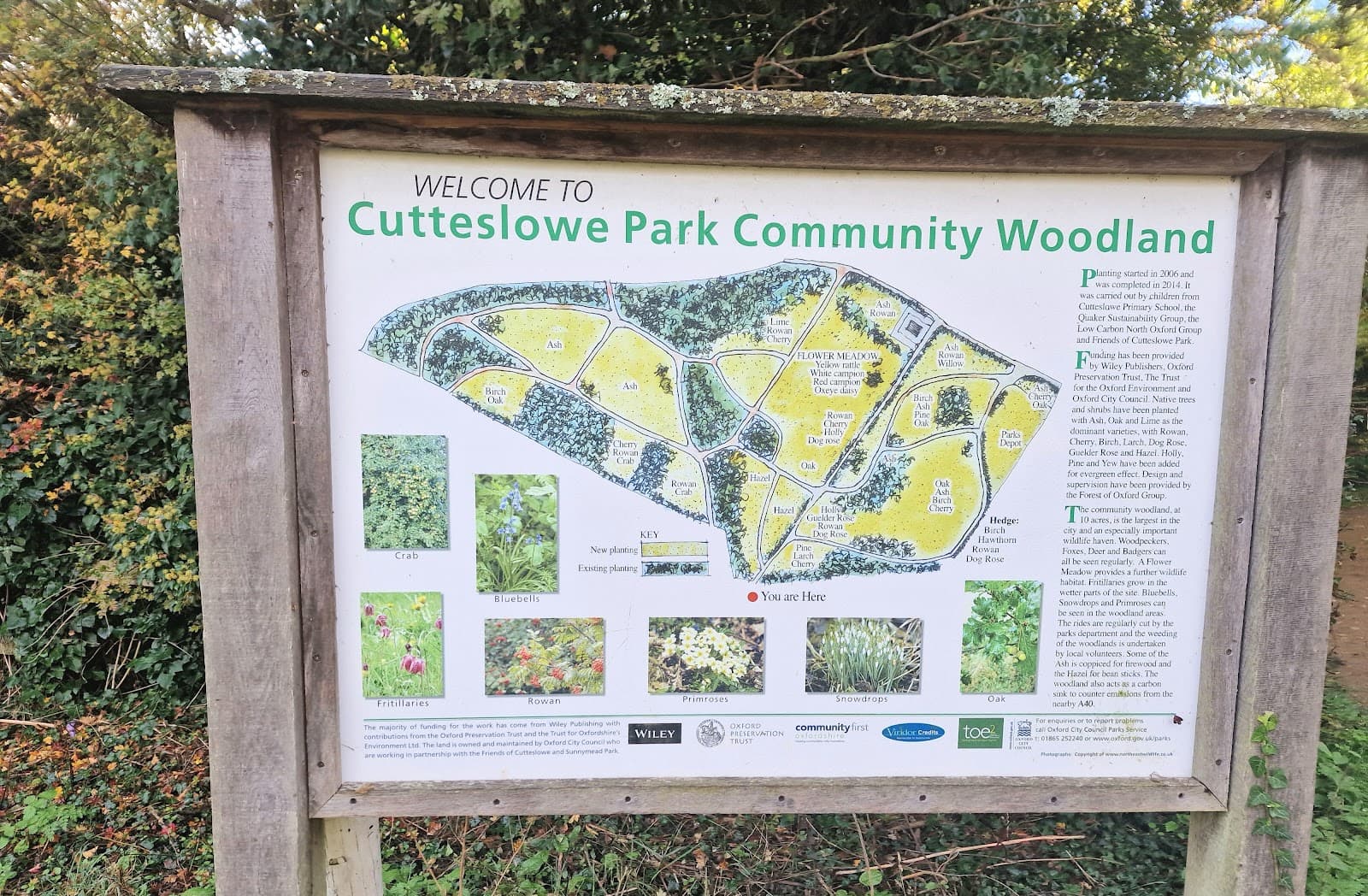 Cutteslowe and Sunnymead Park - Image 1