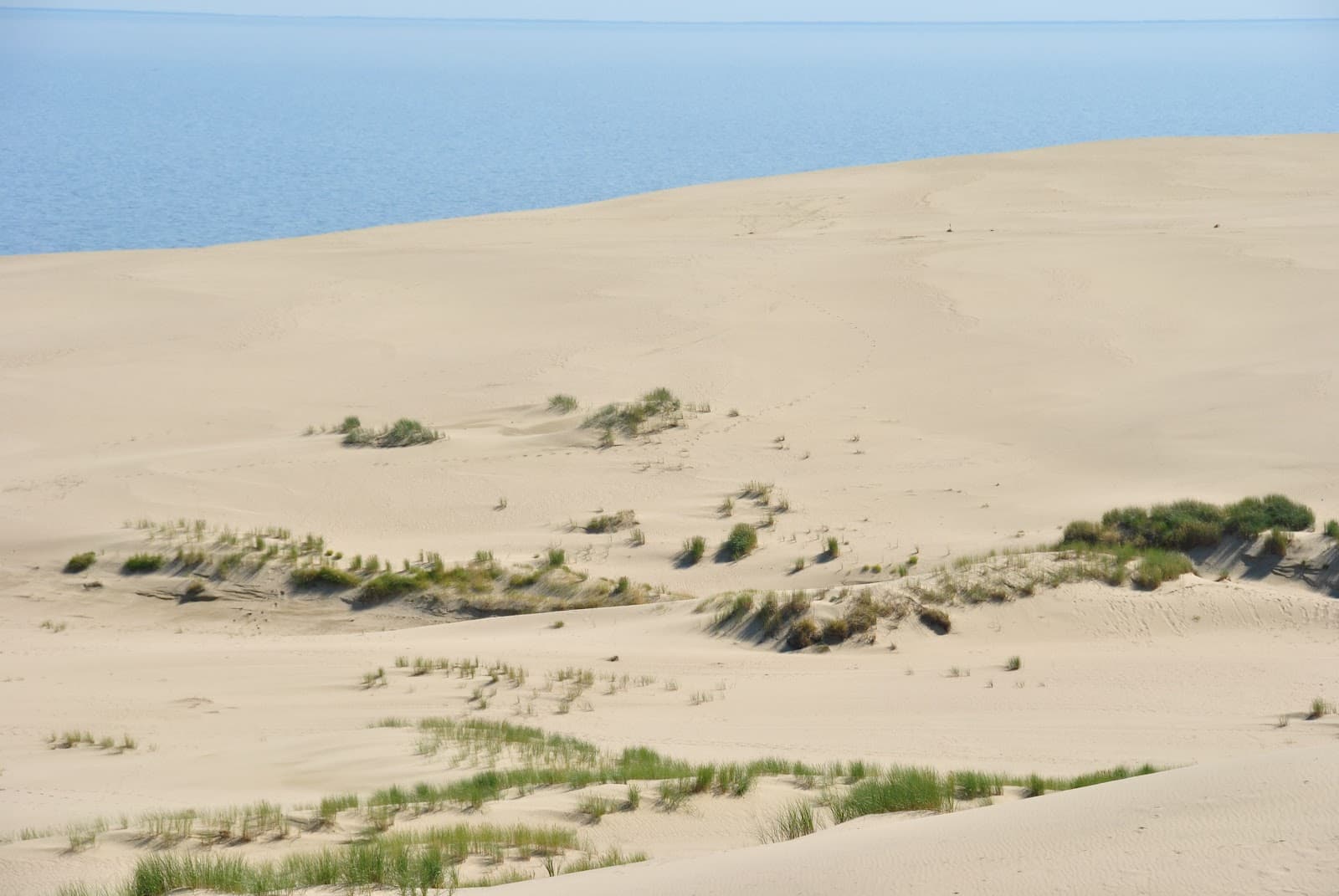 Efa Dune (Epha Height) - Image 1