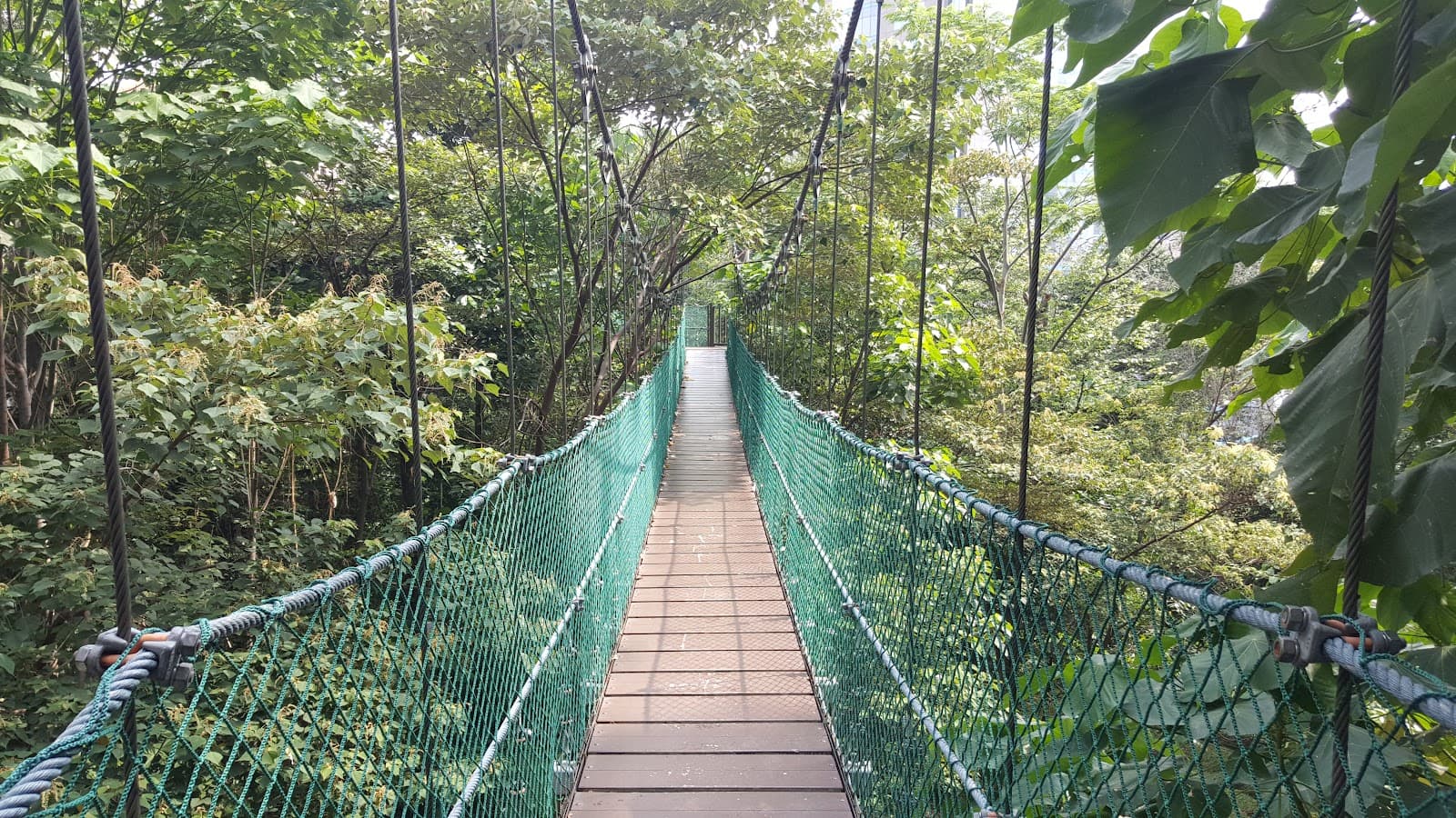 KL Forest Eco Park Kuala Lumpur - Image 1