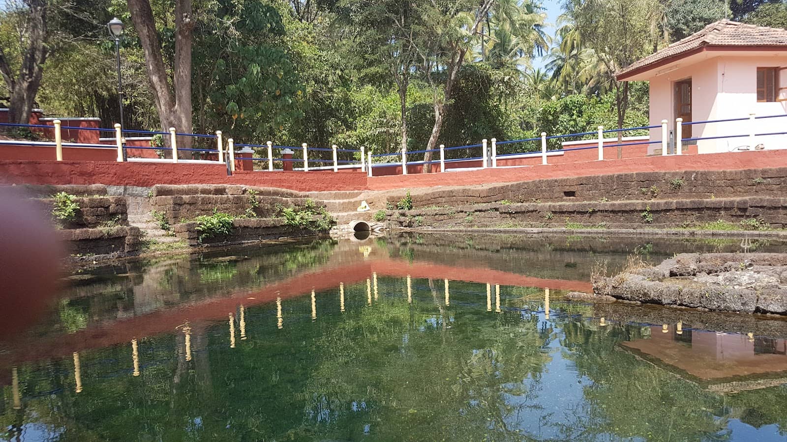Lush Monsoon Scenery