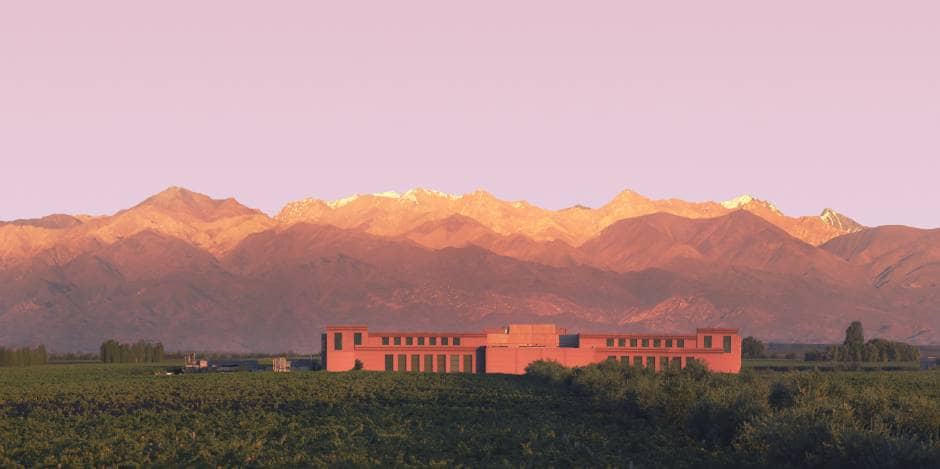 Sparkling Wine Cellar