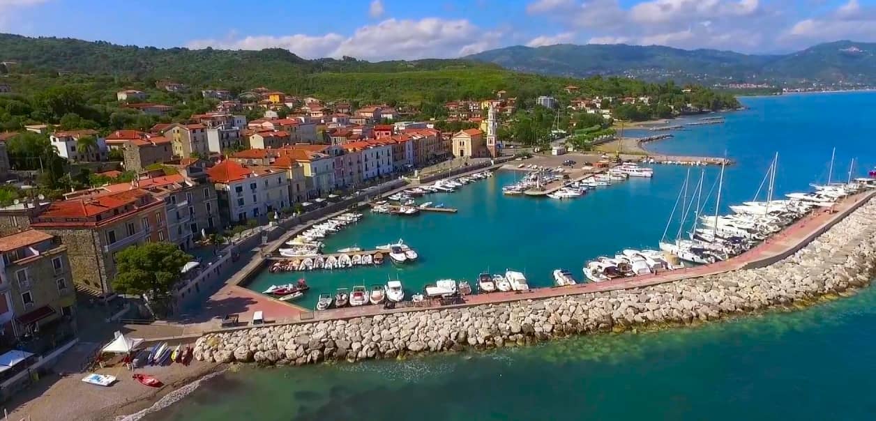 Local Seafood Restaurants