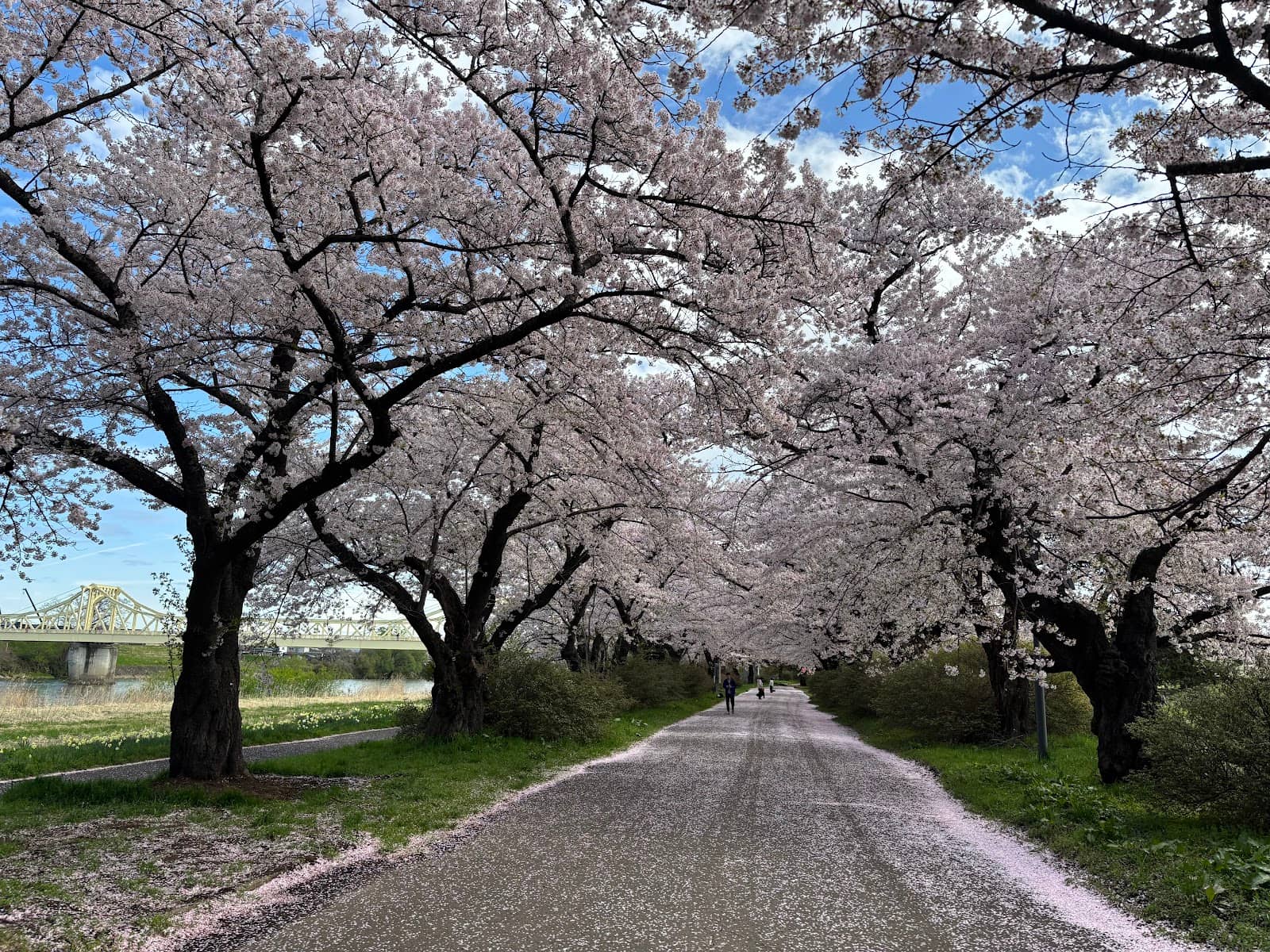Tranquil Riverside Walk