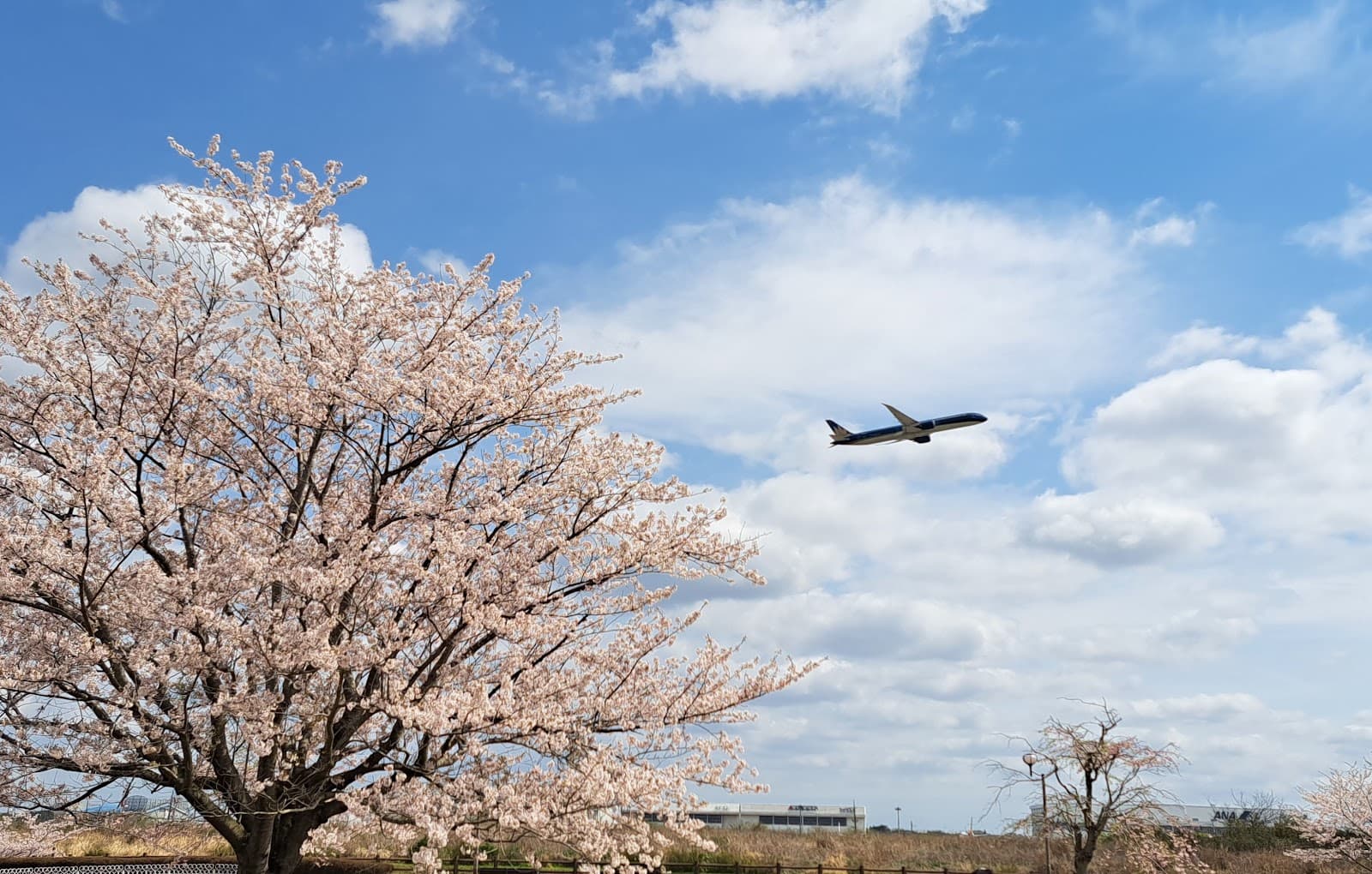 Sakura no Oka Park - Image 1