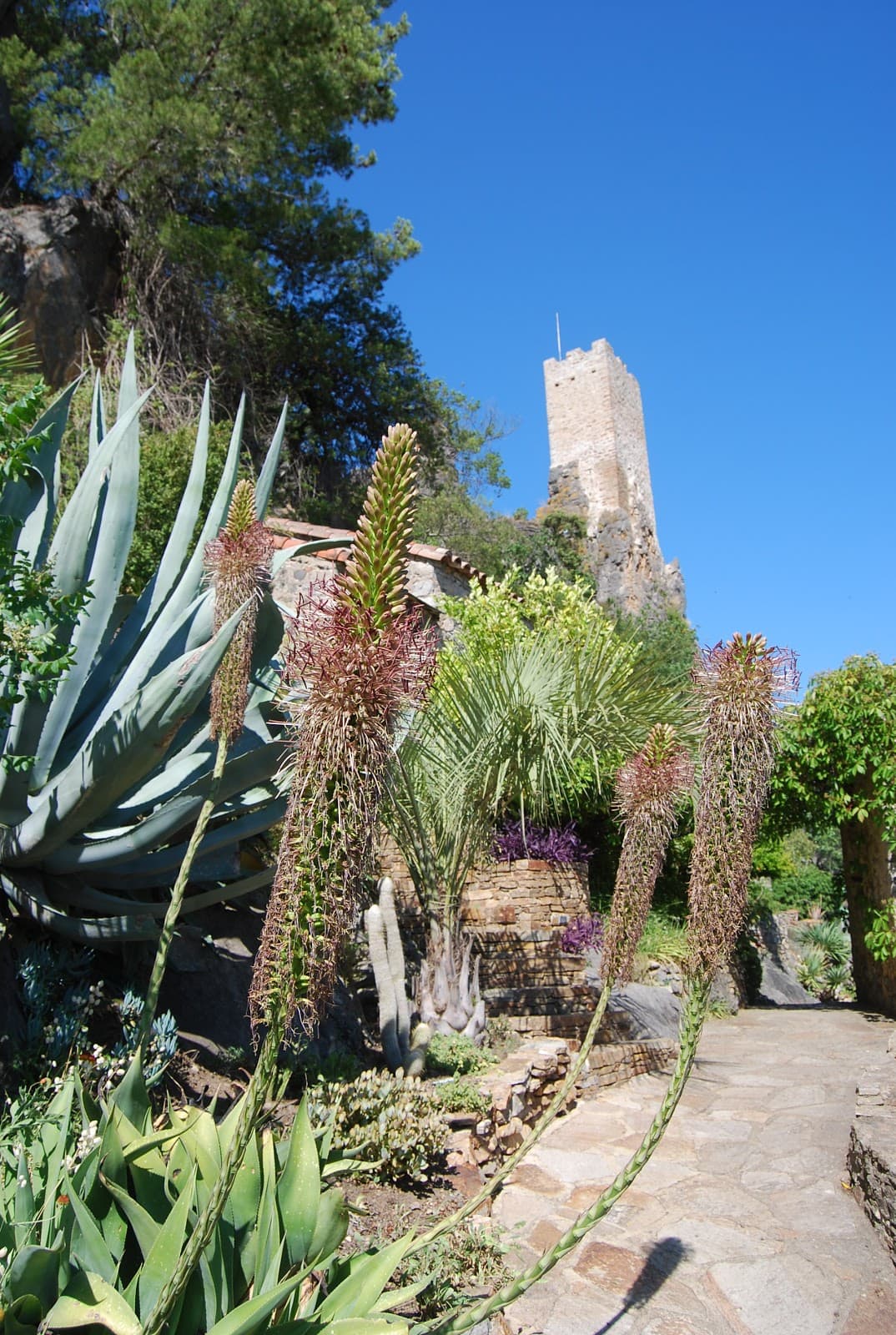 Jardin Méditerranéen de Roquebrun - Image 1