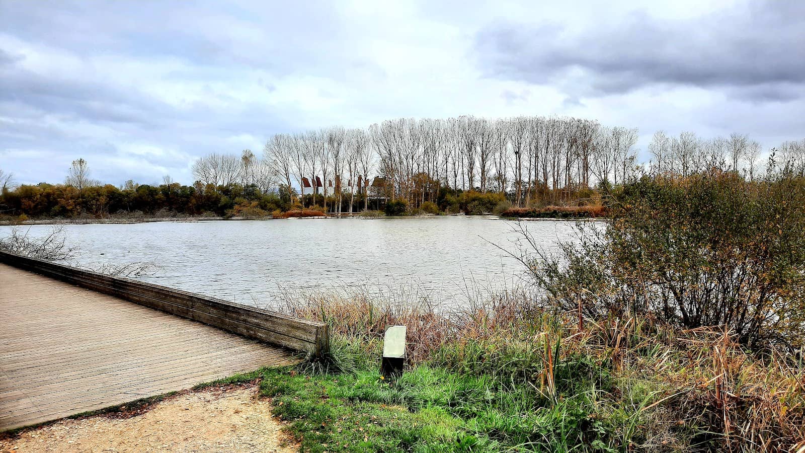 The Green Ring (Anillo Verde)
