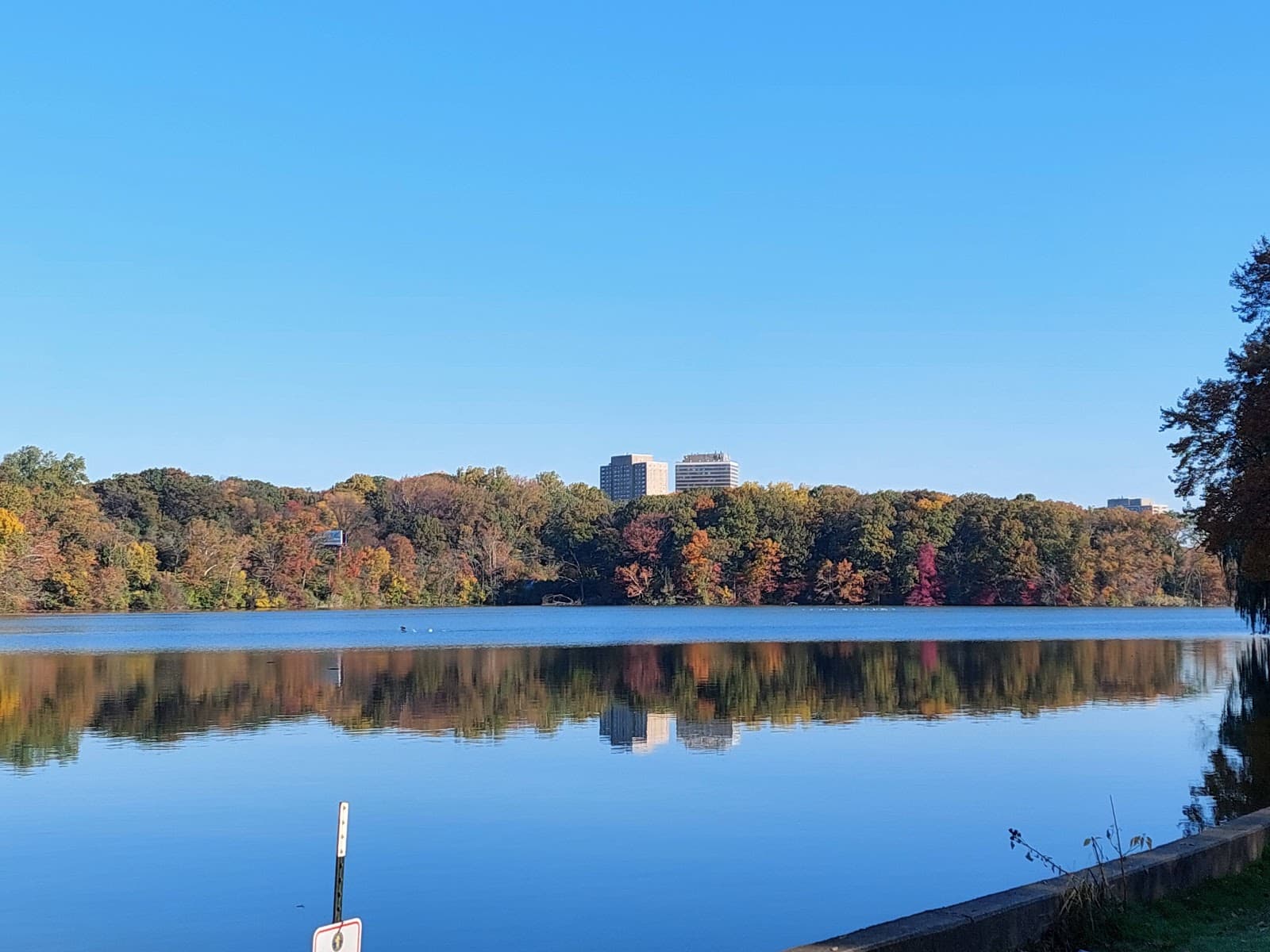 Weequahic Park - Image 1