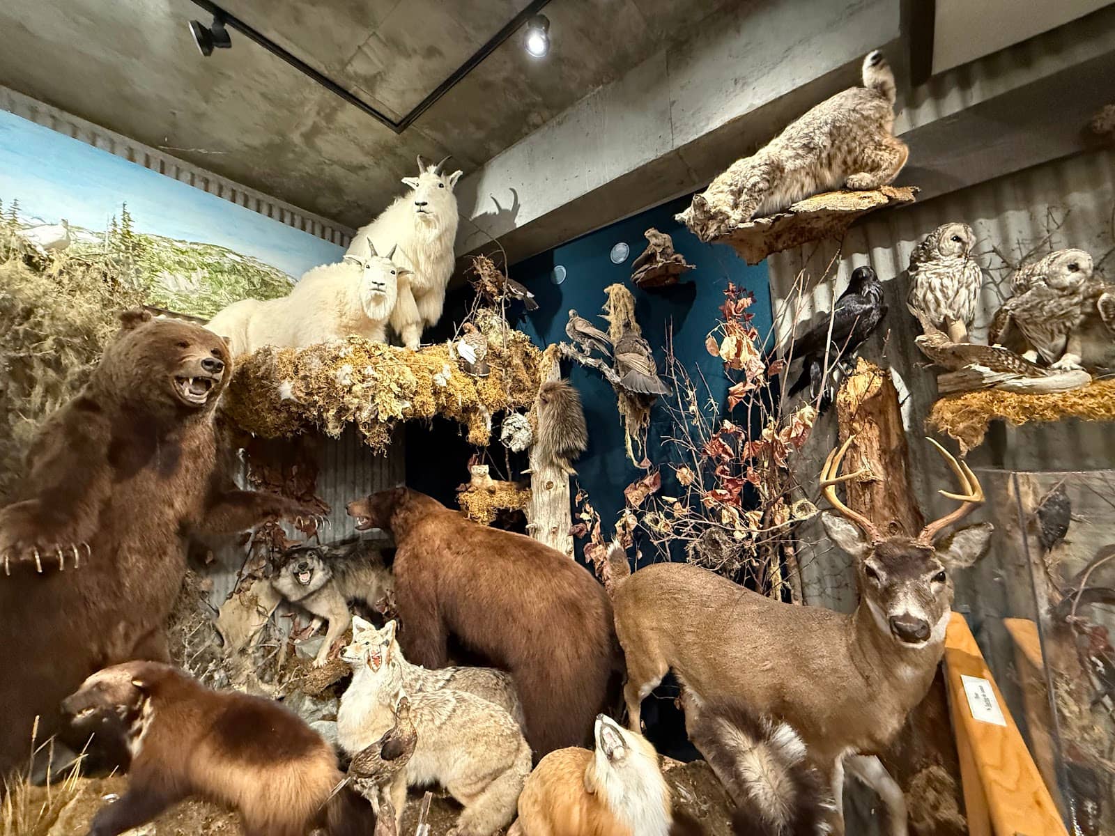 Local History Narratives