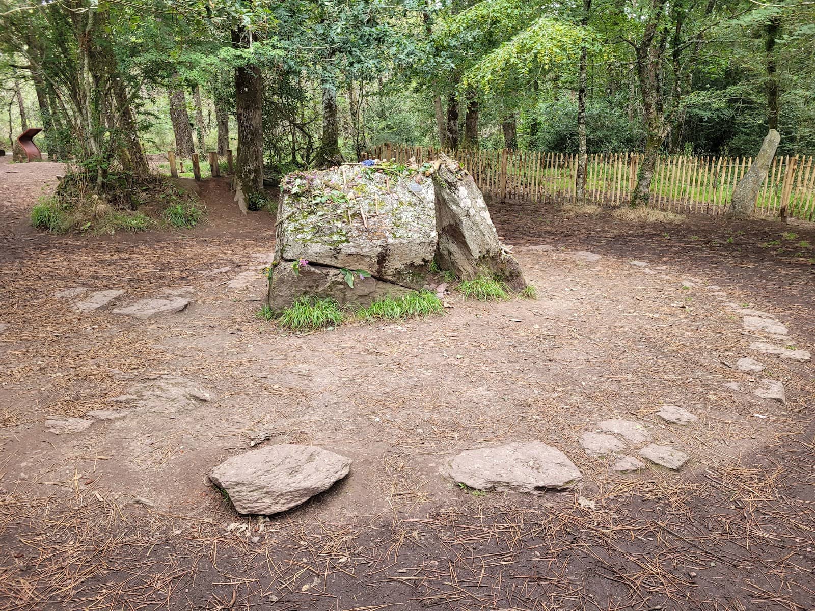 Brocéliande Forest Trails