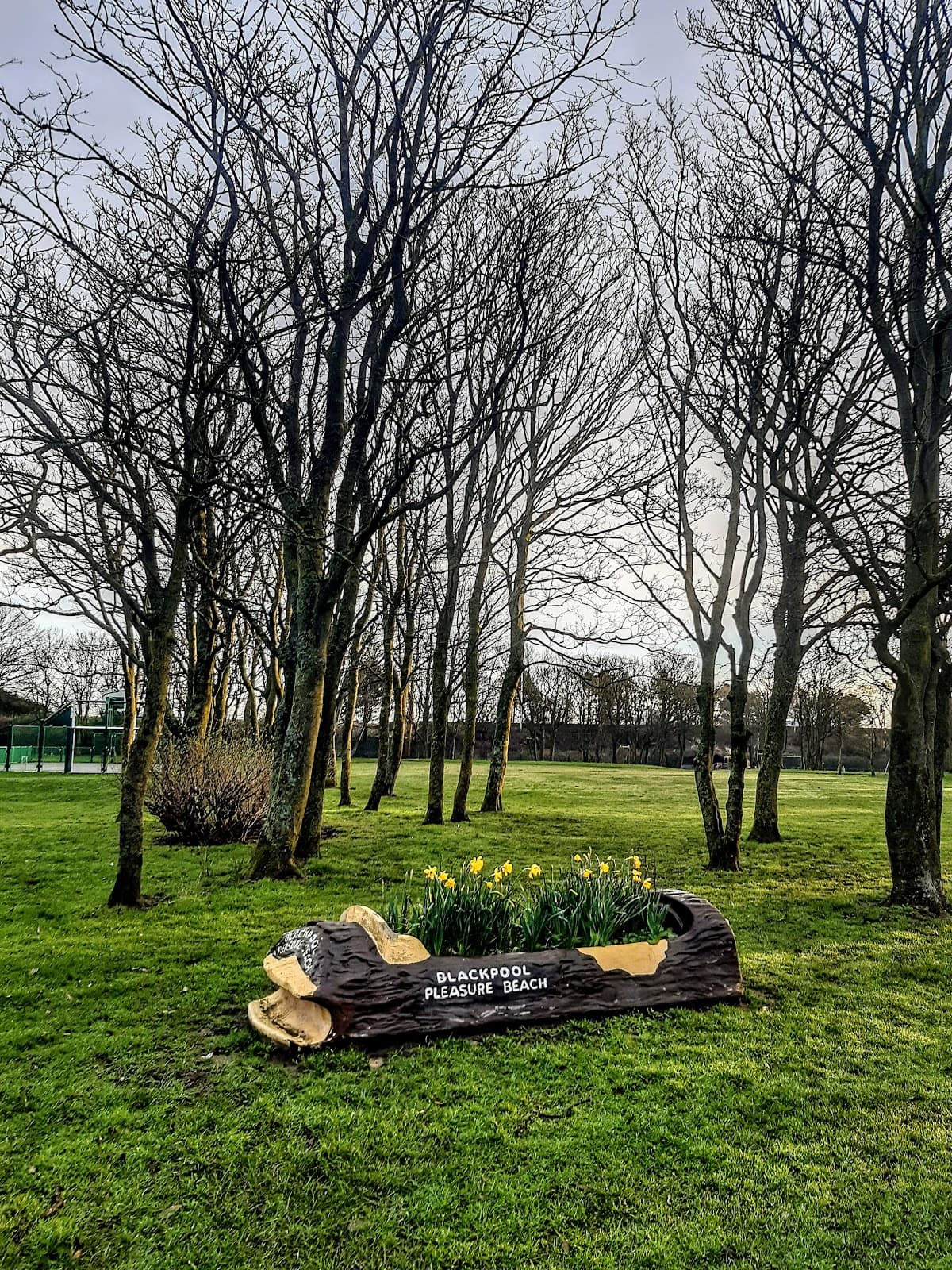 Watson Road Park - Image 1