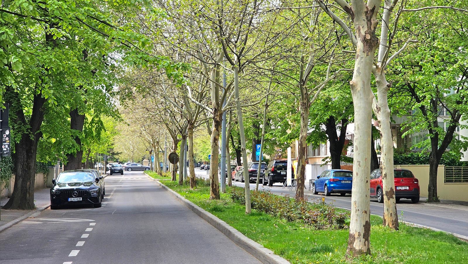 Primaverii Neighborhood - Image 1