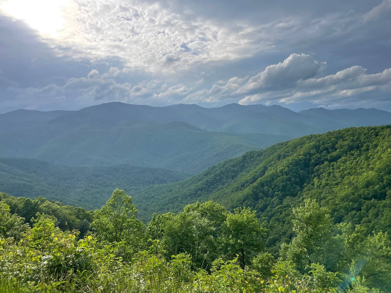 Craggy Gardens