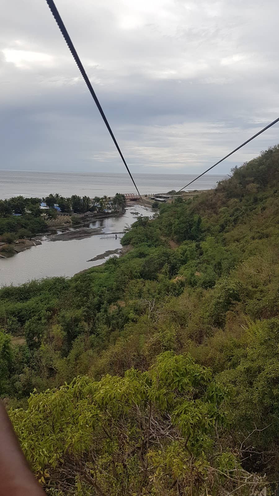 Vertical photo