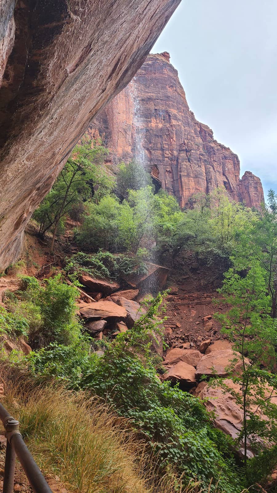 Vertical photo