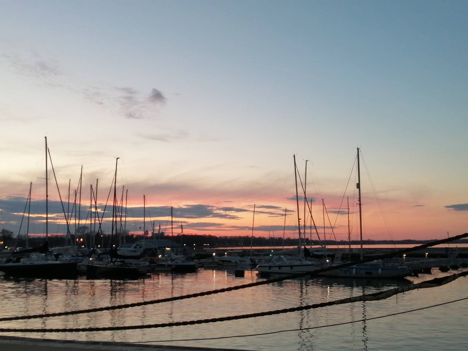 Harbour Activity