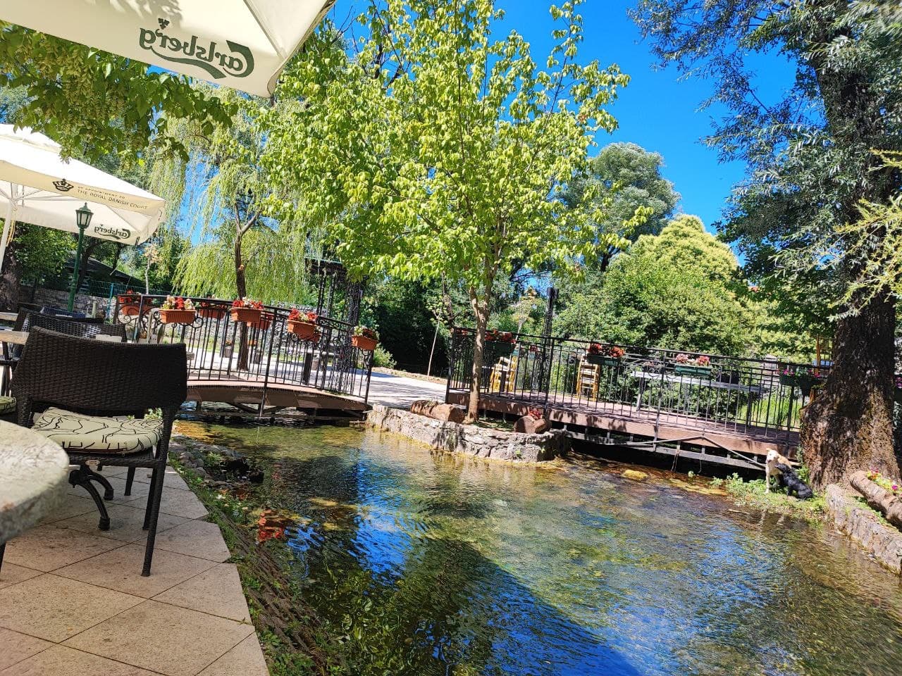 Mareza Springs - Image 1