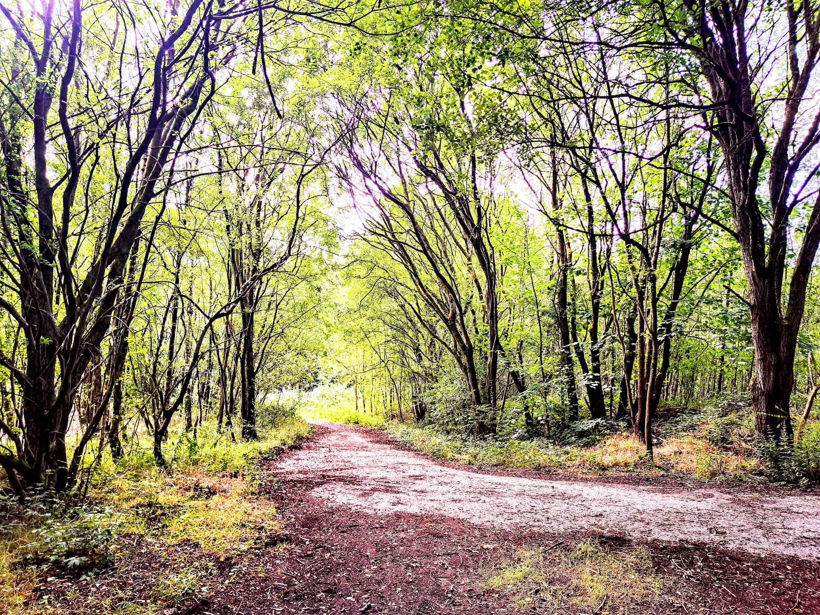 Old Railway Line Path