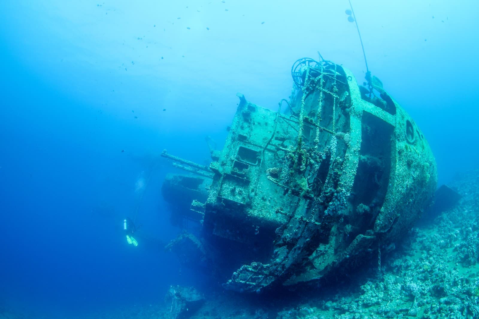 Cedar Pride Wreck - Image 1