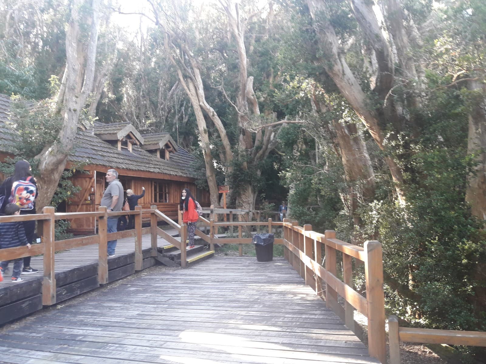 Bosque de Arrayanes Villa La Angostura - Image 1