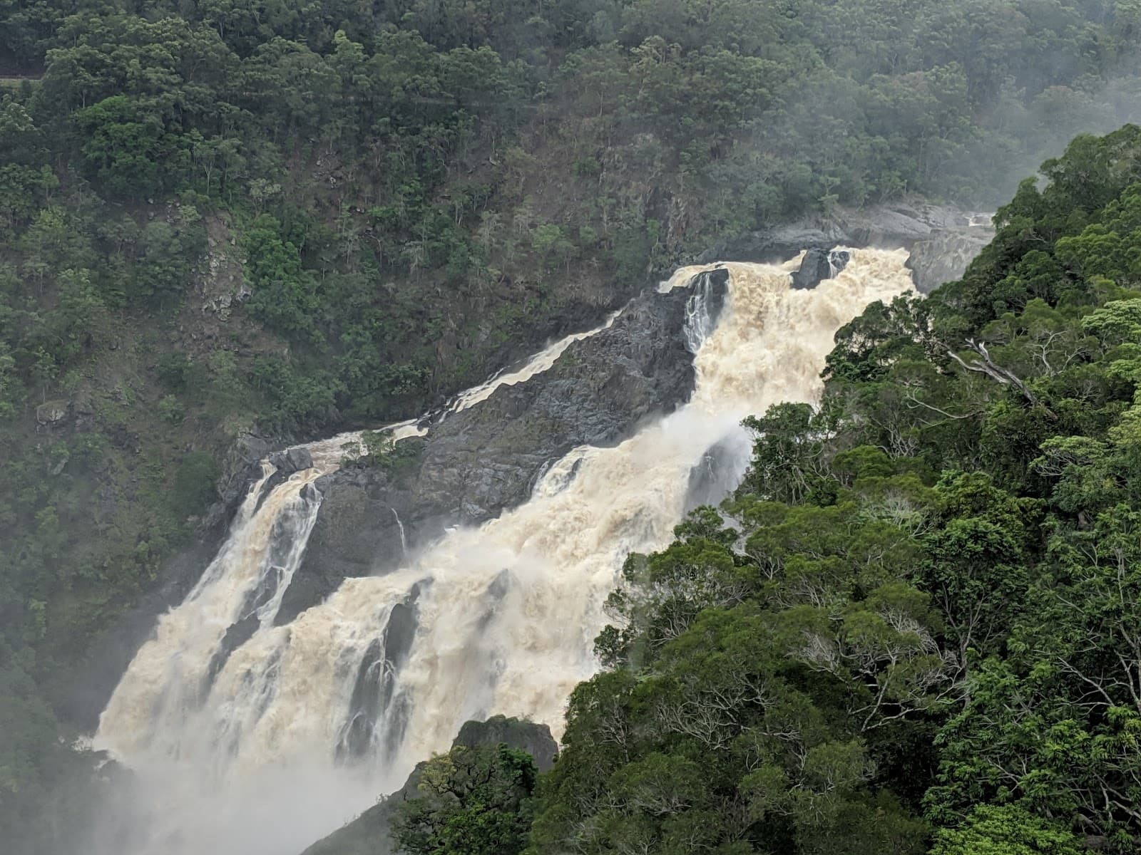 Barron Gorge National Park Cairns - Image 1