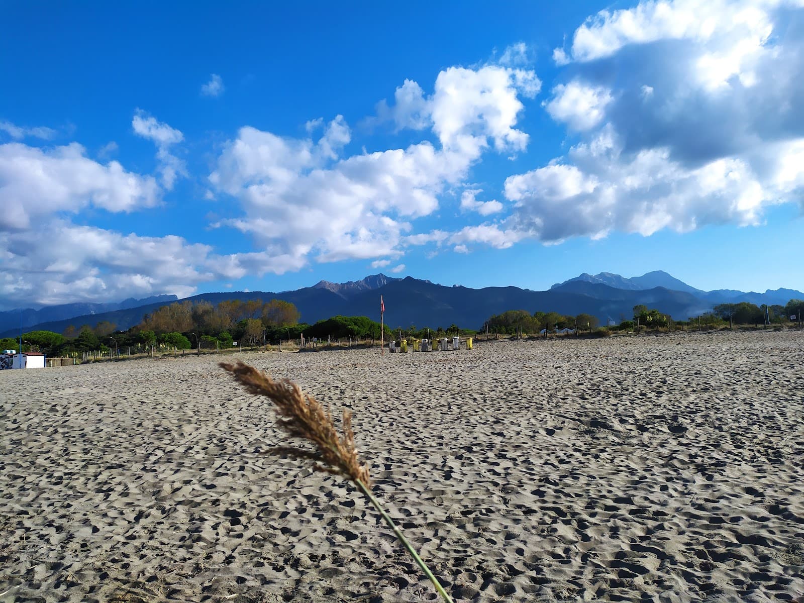 WWF Dune Oasis (Forte dei Marmi) - Image 1