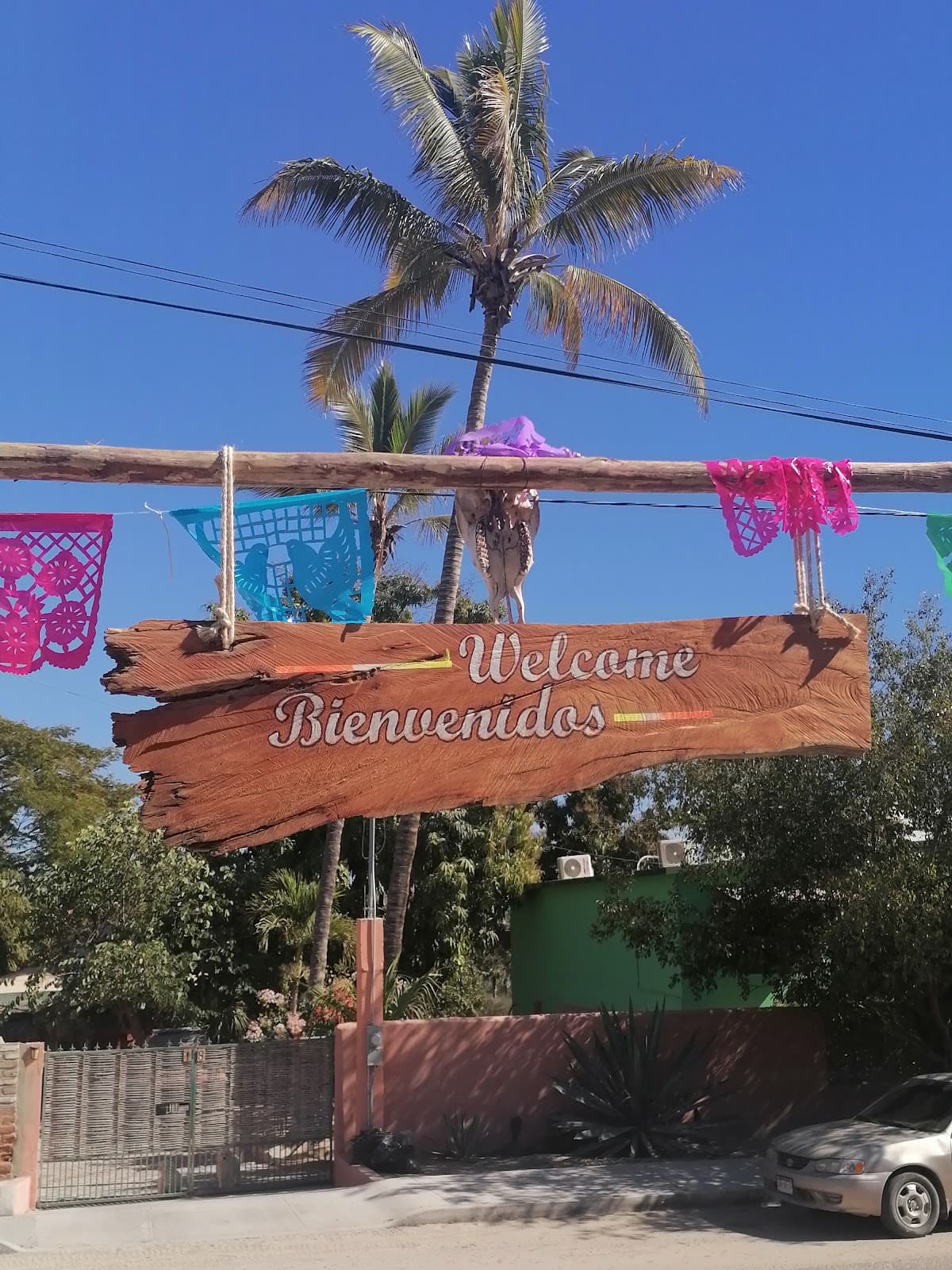 Rancho Organico Todos Santos - Image 1