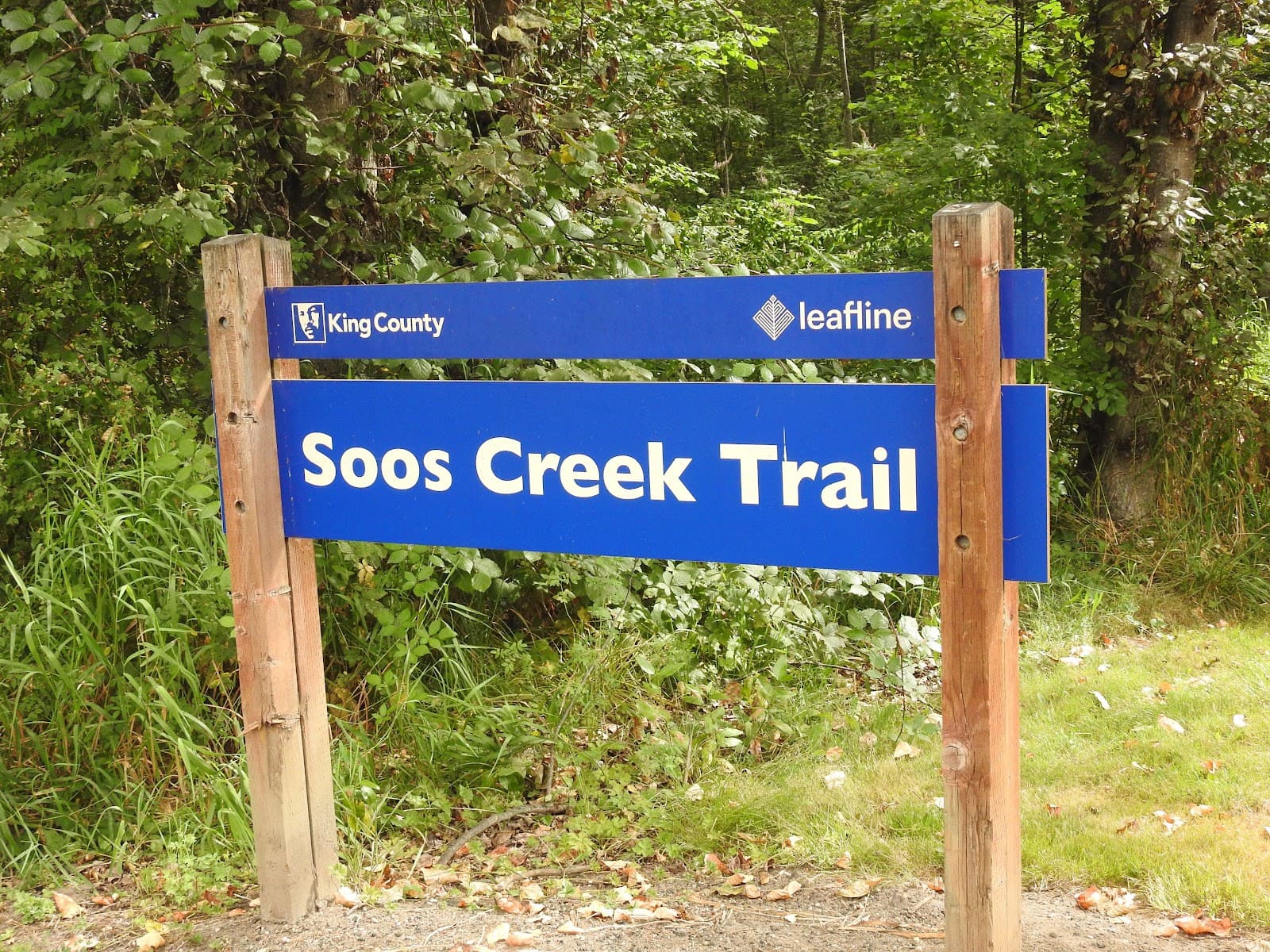 Soos Creek Trail - Image 1