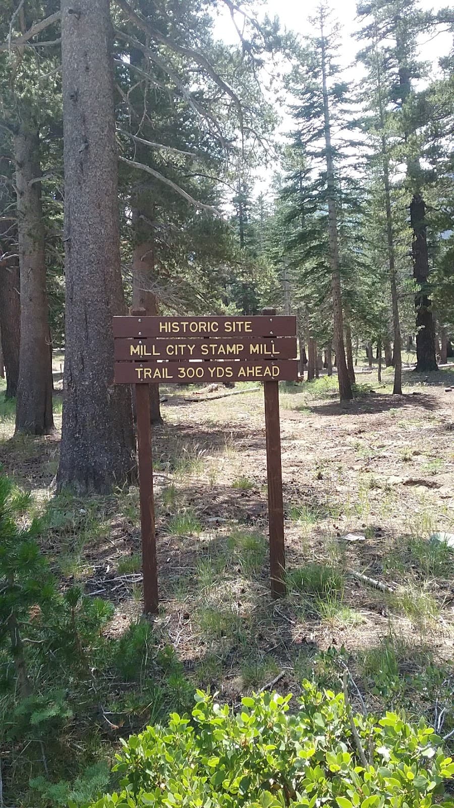 Old Mammoth - Image 1