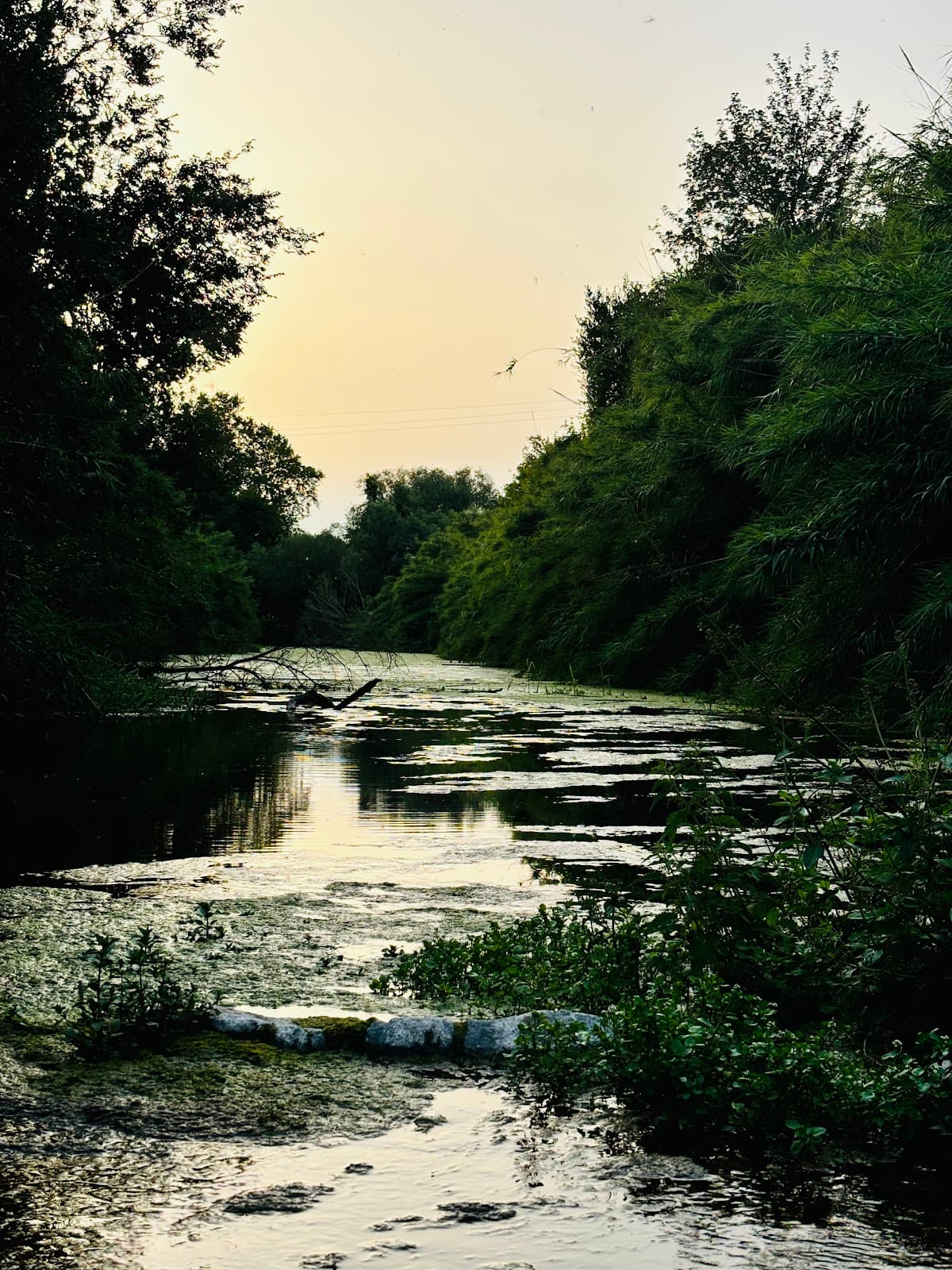Muga Riverwalk - Image 1