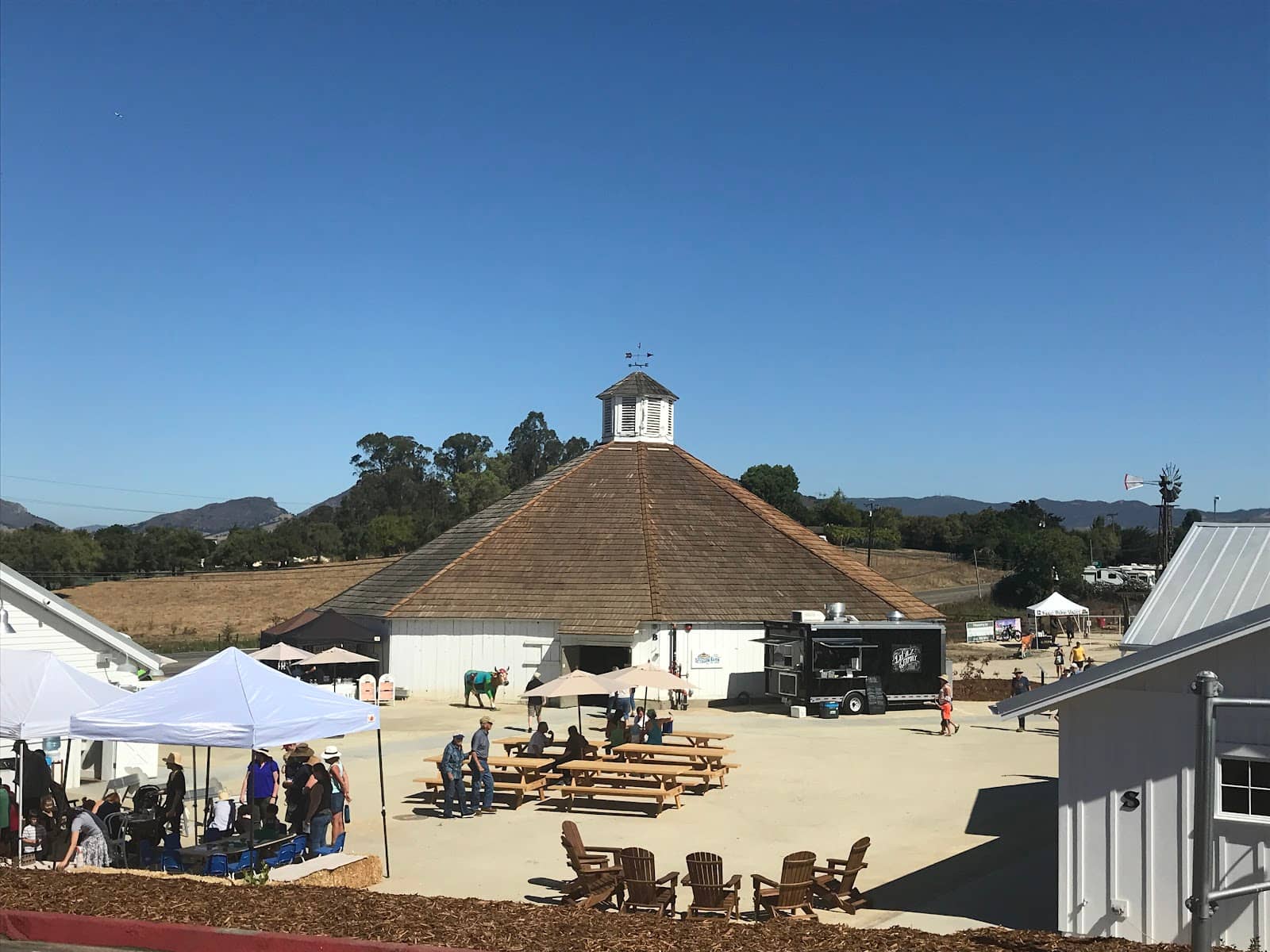 Art Exhibitions & Markets