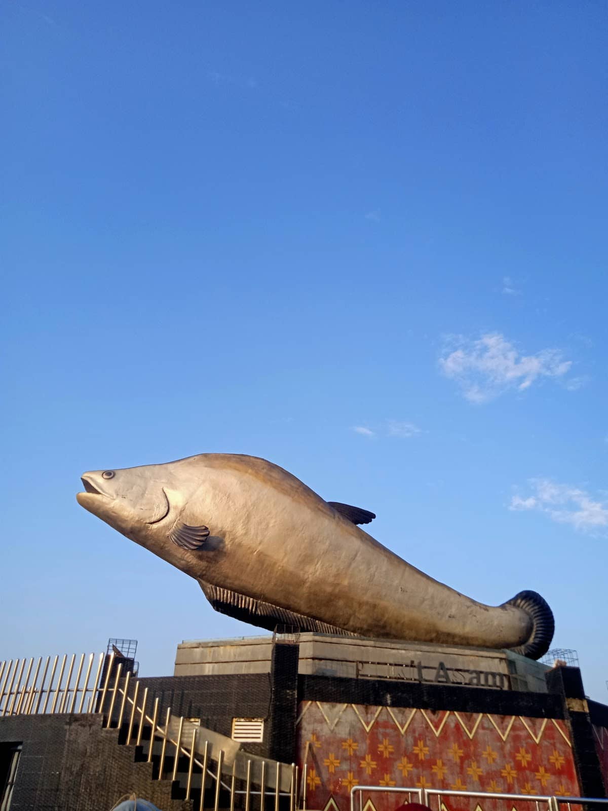 Nighttime Light Show