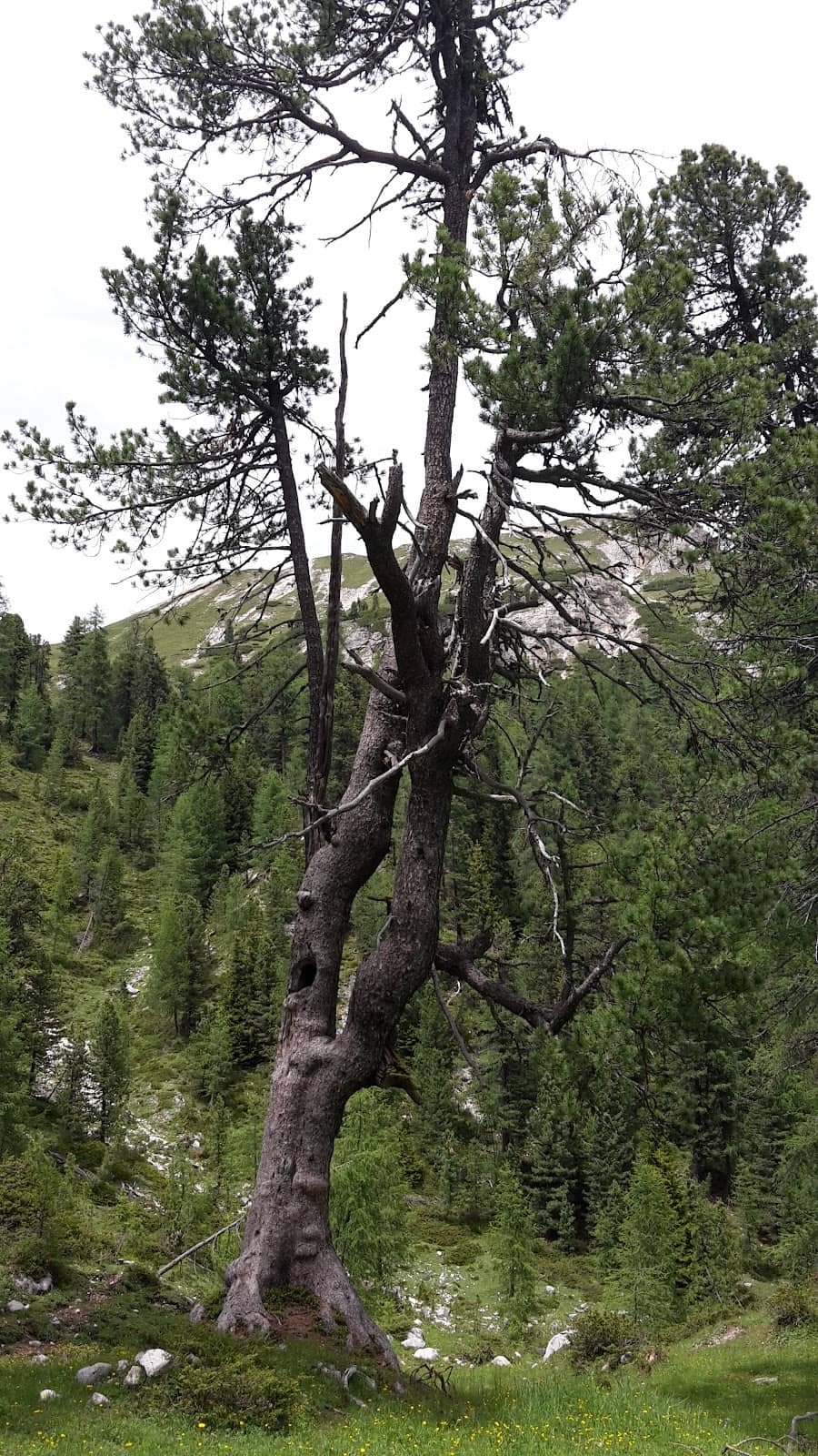 Vertical photo