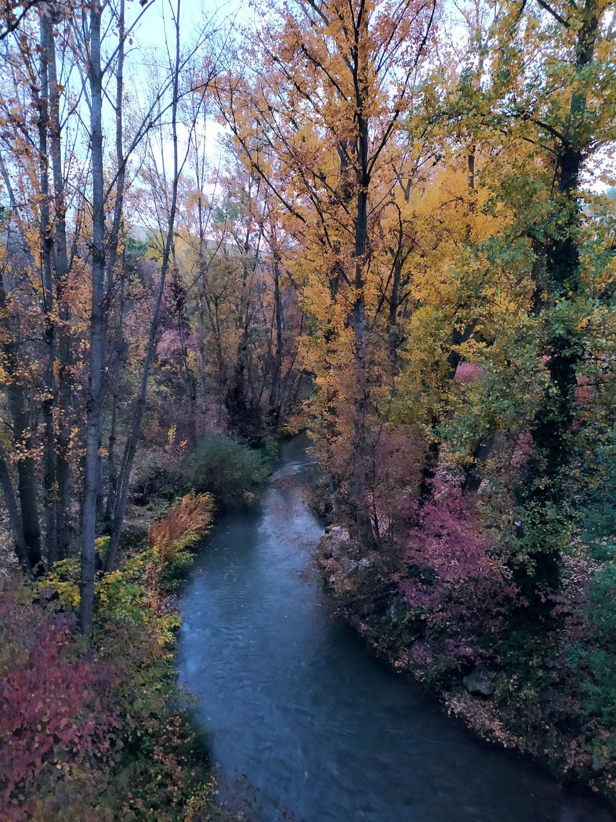 Parque de la Isla (Riverside) - Image 1