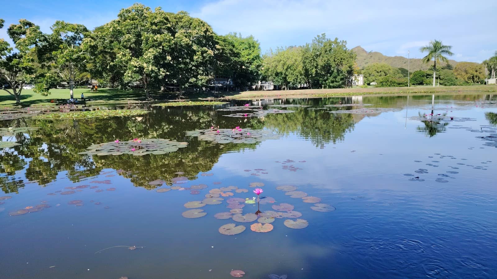 Birdwatcher's Paradise