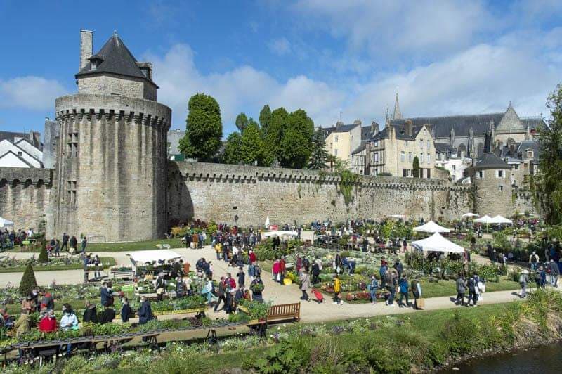 Vannes Old Town - Image 1