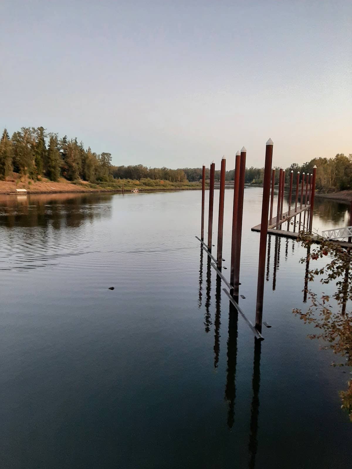 Willamette Falls in Distance