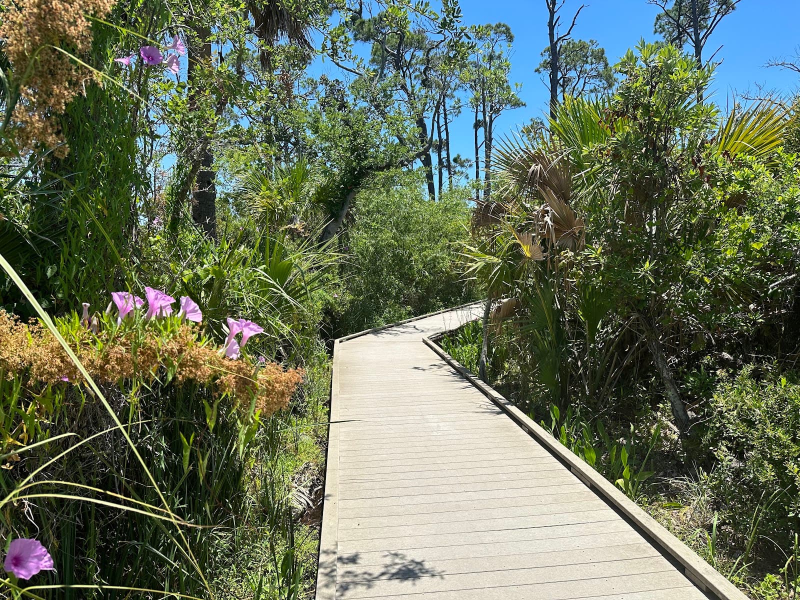 Port City Trail - Image 1