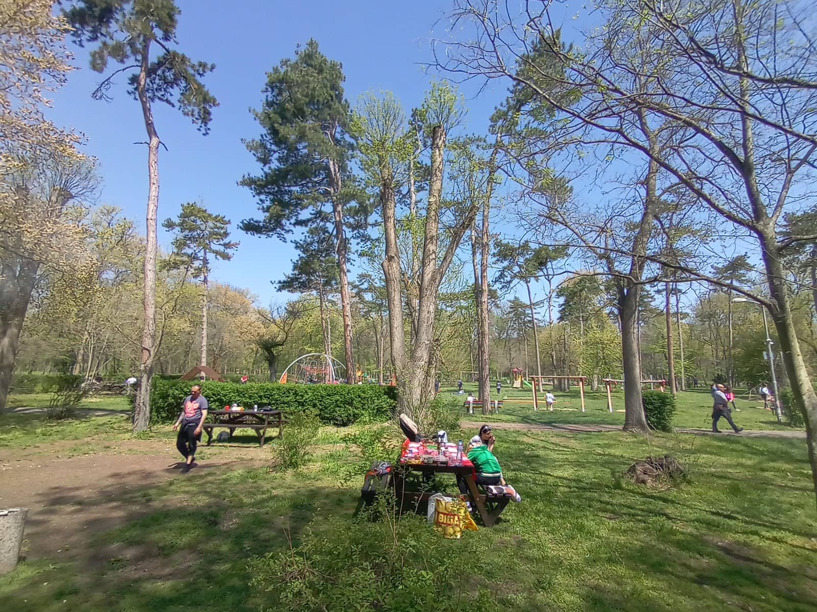 Walking Trails