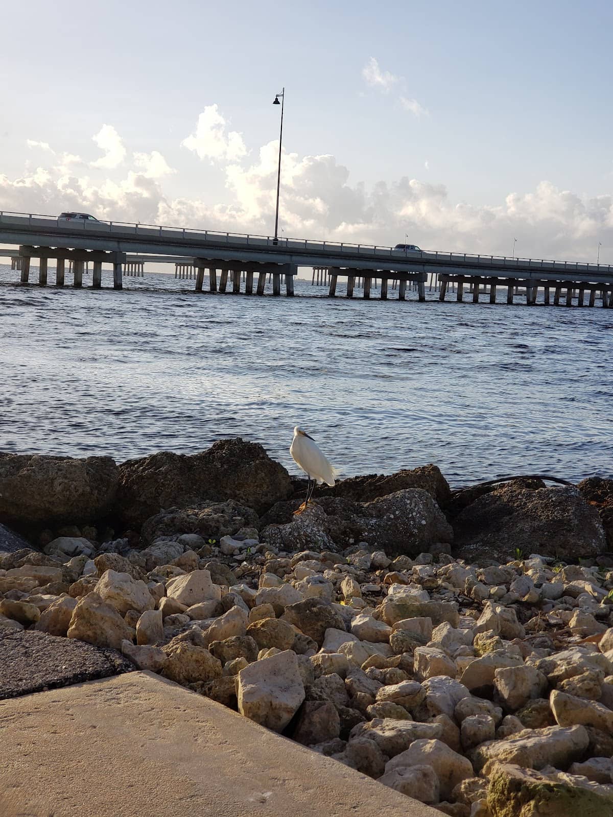Charlotte Harbor Views
