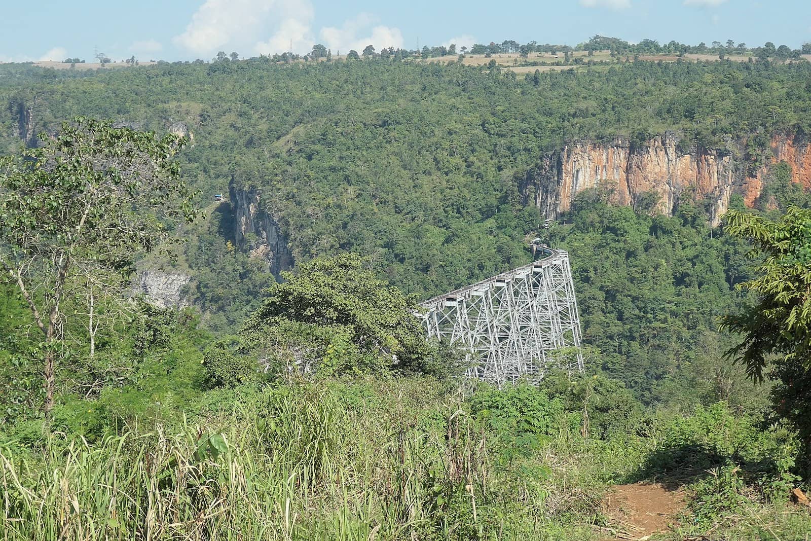 Vertical photo