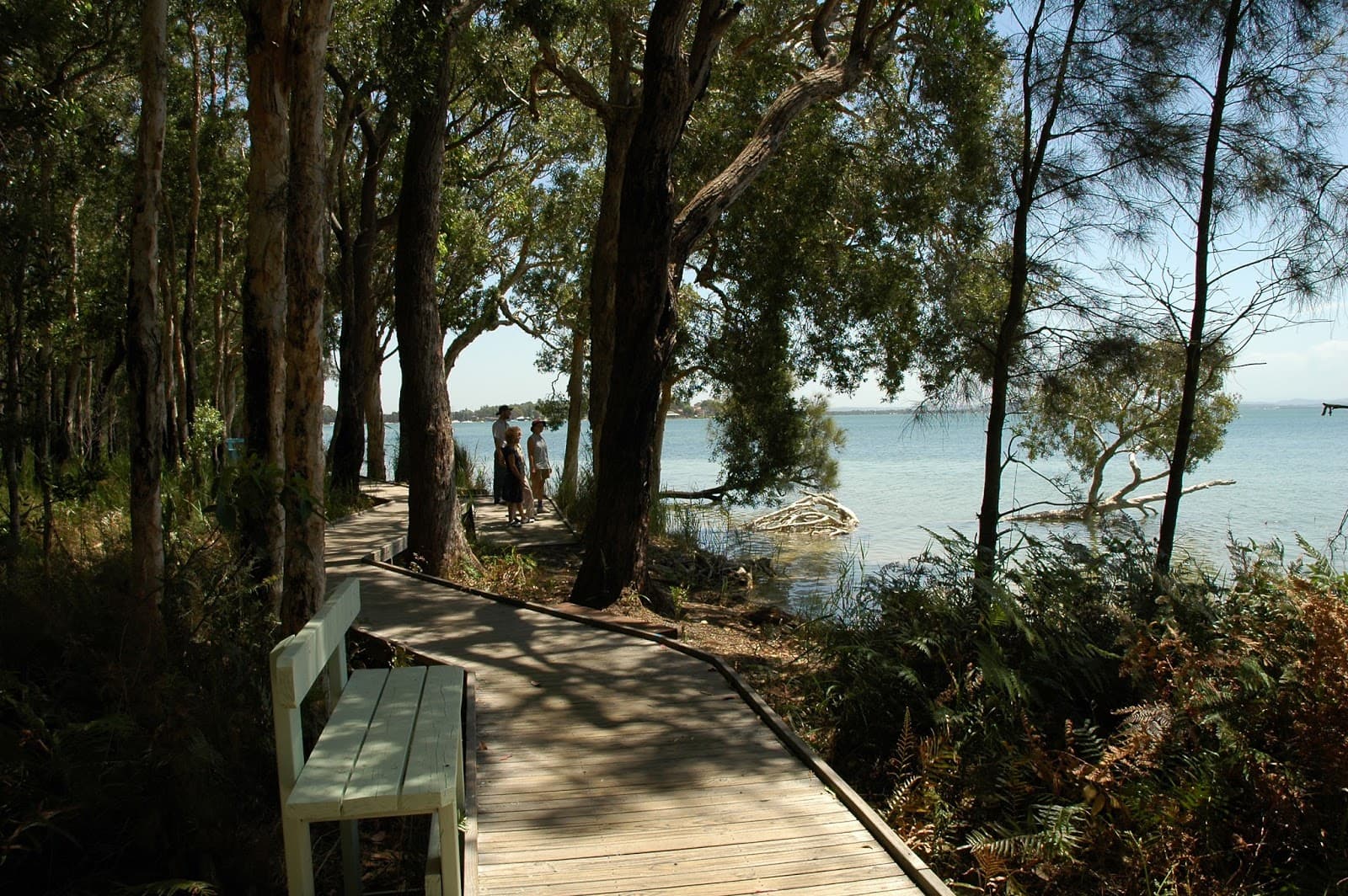 Tilligerry Habitat - Image 1