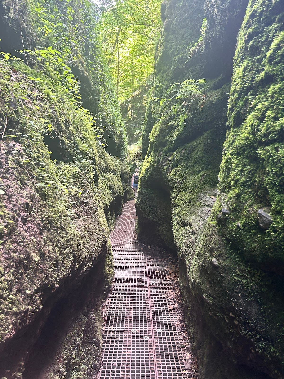 Landgrafenschlucht - Image 1