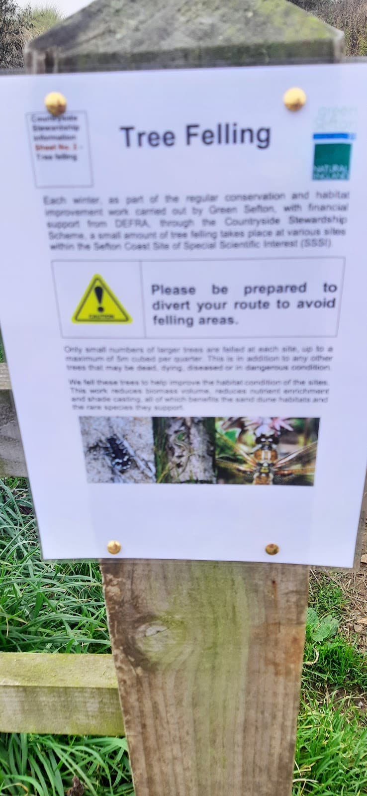 Queen's Jubilee Nature Trail Birkdale - Image 1