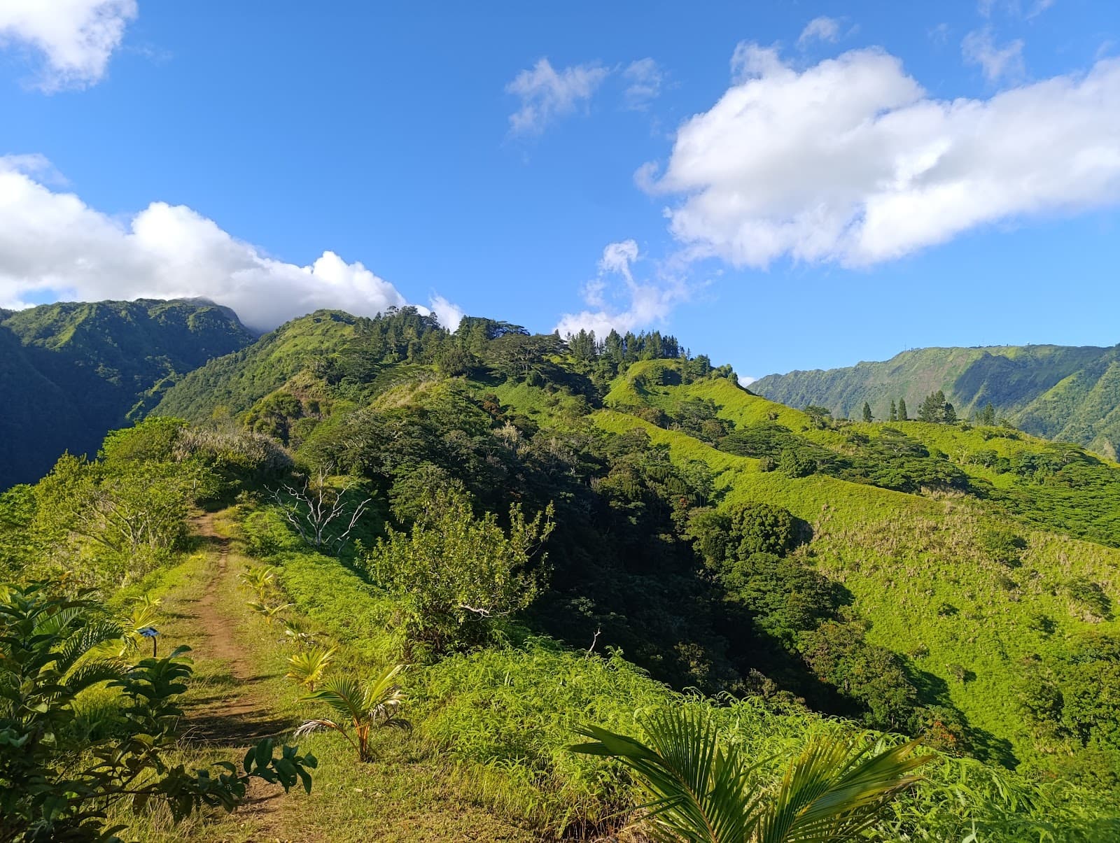 Belvédère de Pirae Mount Aorai Trailhead - Image 1