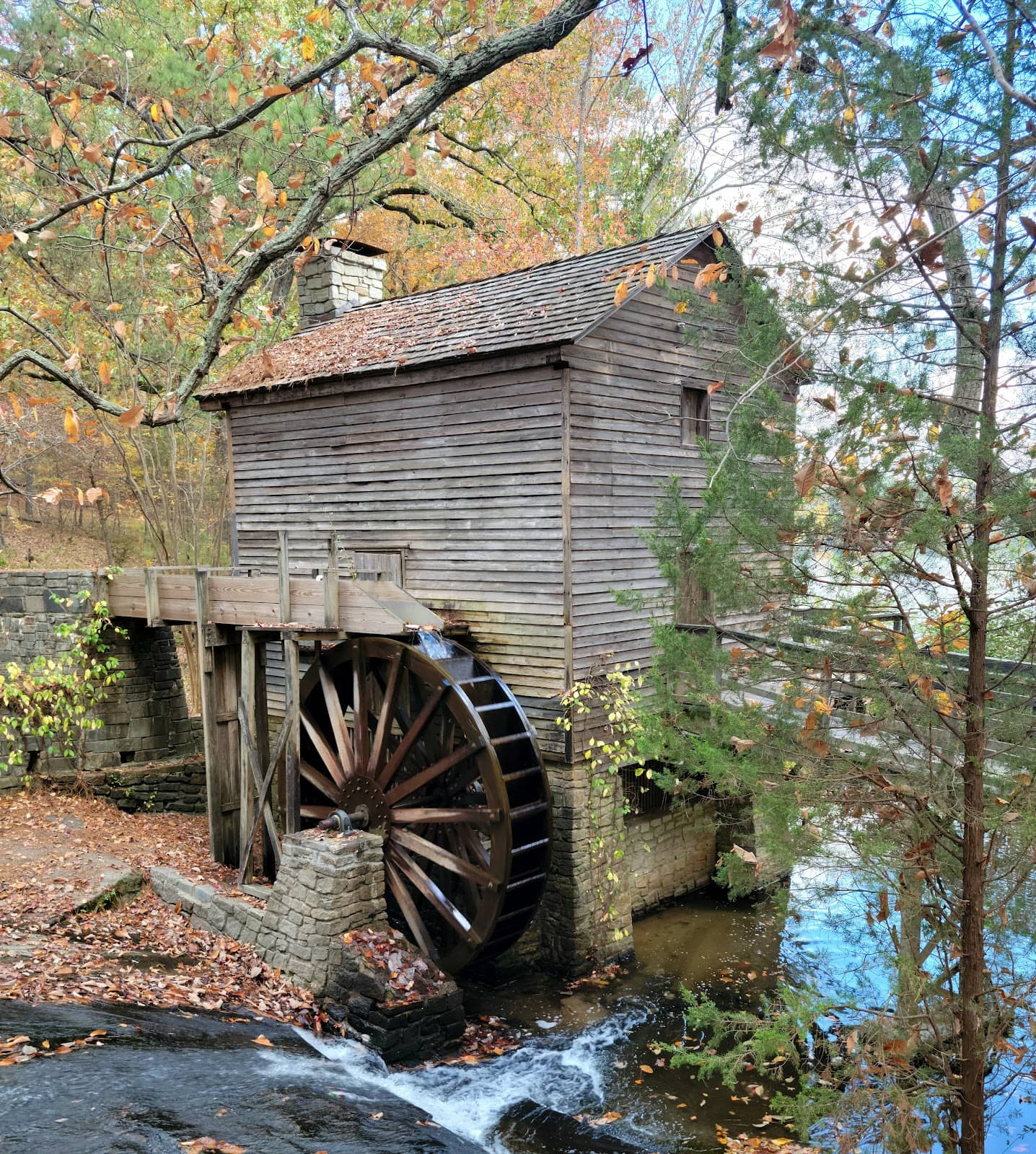 Picnic and Relaxation Spots