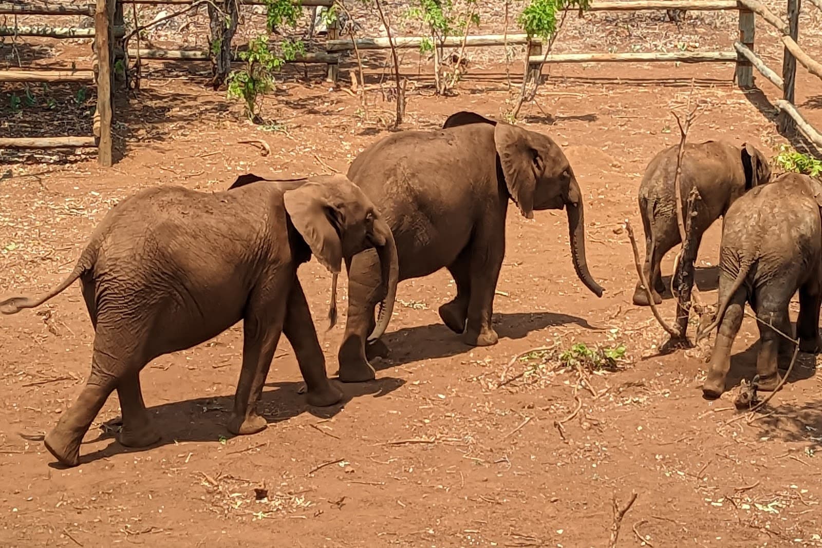 GRI Wildlife Discovery Centre - Image 1